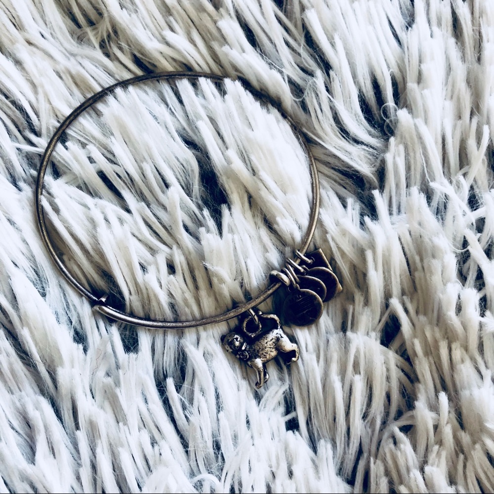 ⭐️Alex and Ani Cat Bracelet⭐️